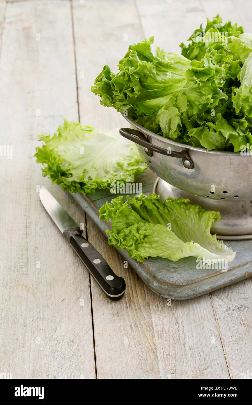 fresh salad leaves Stock Photo Alamy