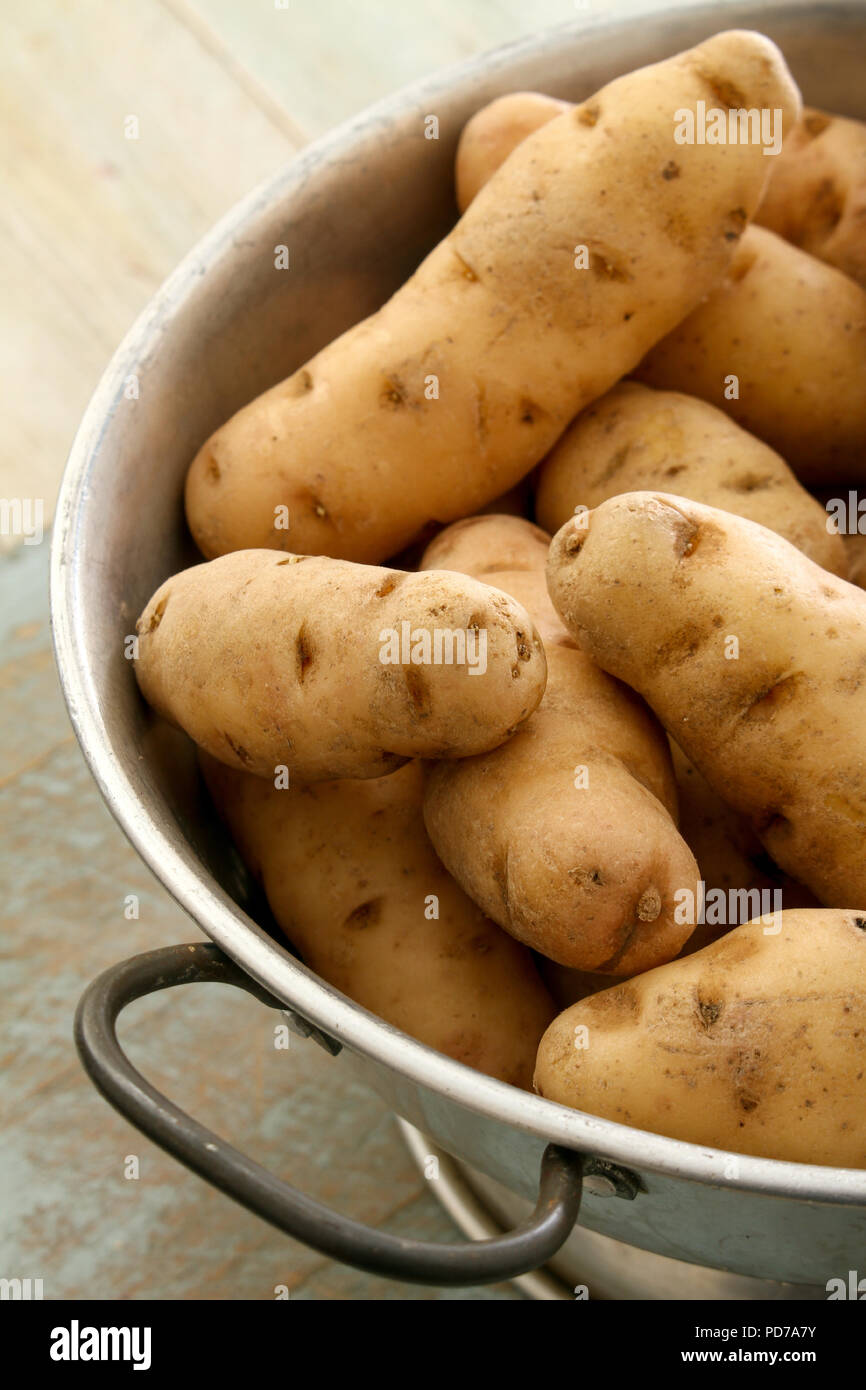 preparing heritage potatoes Stock Photo - Alamy