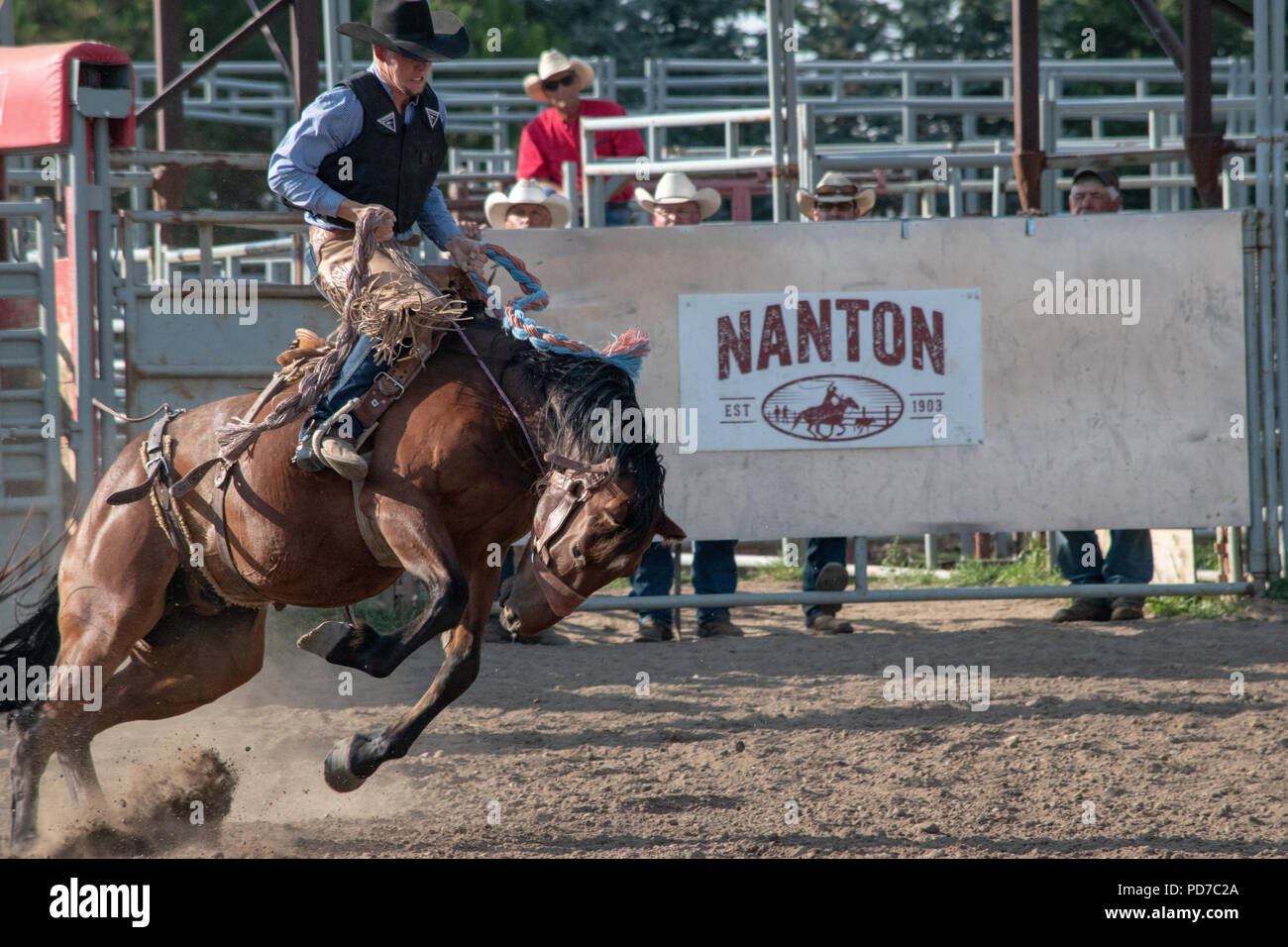 Nanton Pro Rodeo Teenage boy competes in the Saddle Bronc competition at the Nanton Nite ...