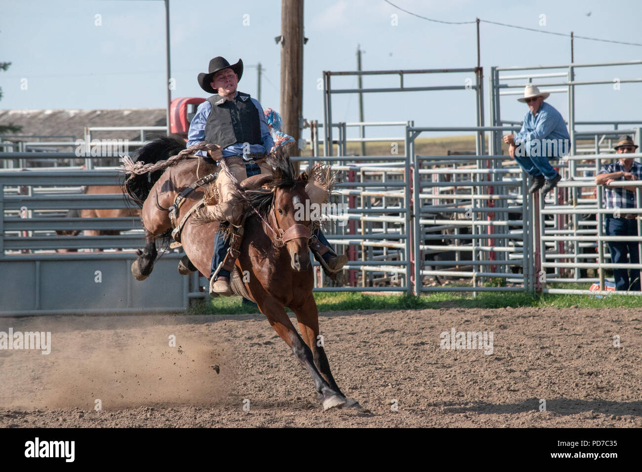 Nanton Pro Rodeo Teenage boy competes in the Saddle Bronc competition at the Nanton Nite ...
