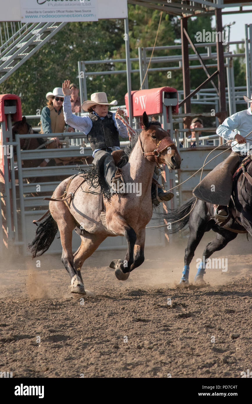 Nanton Pro Rodeo Teenage boy competes in the Saddle Bronc competition at the Nanton Nite ...