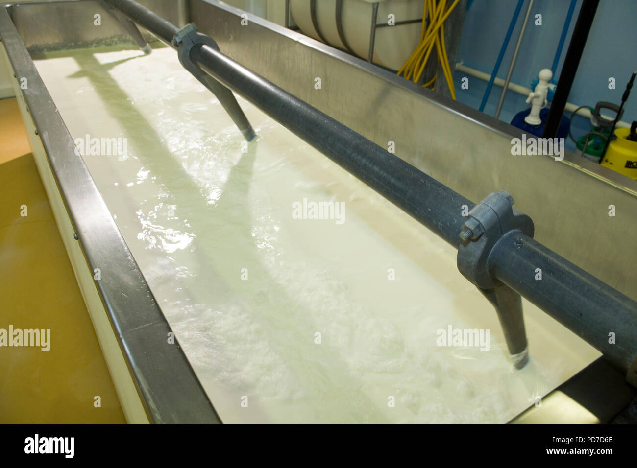 Cheddar cheese production Stock Photo Alamy