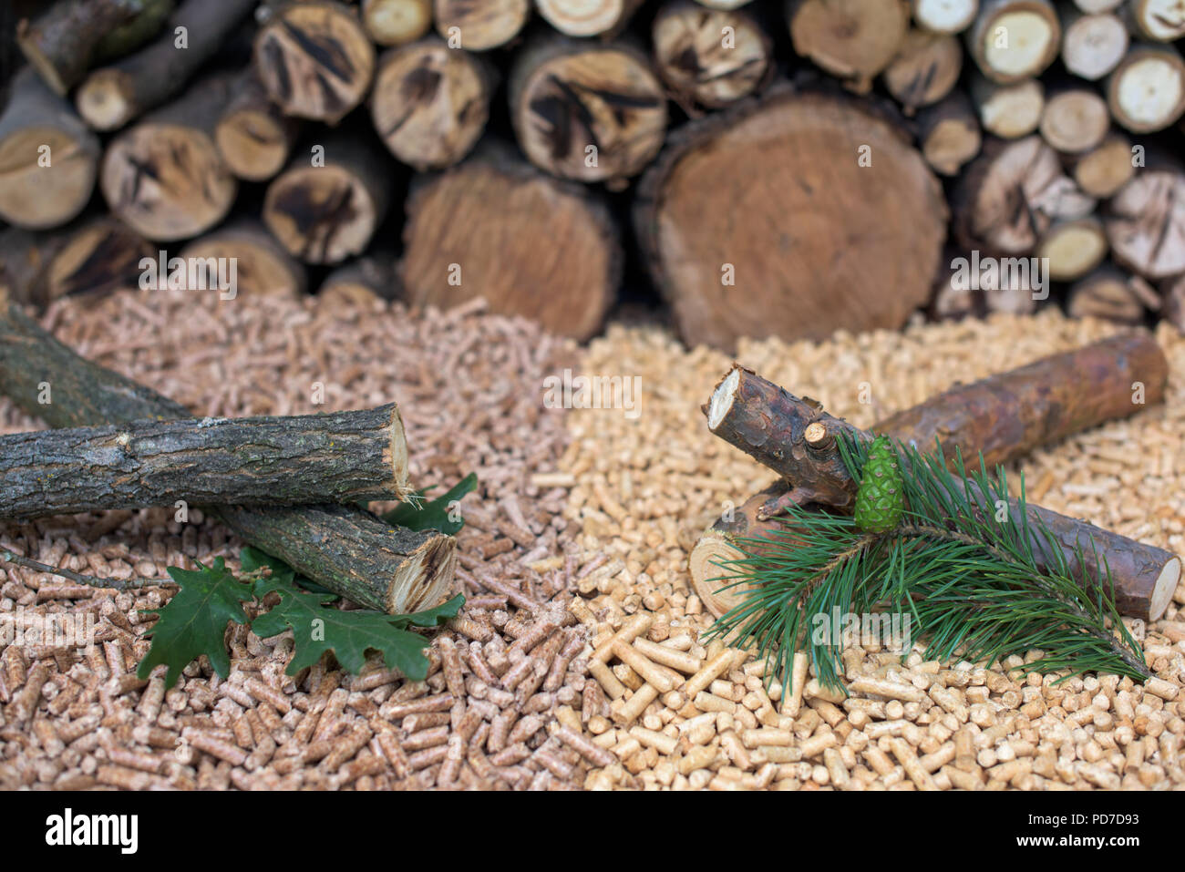 Wooden biomass fir, cone, pine, oak, pellets, log Stock Photo Alamy