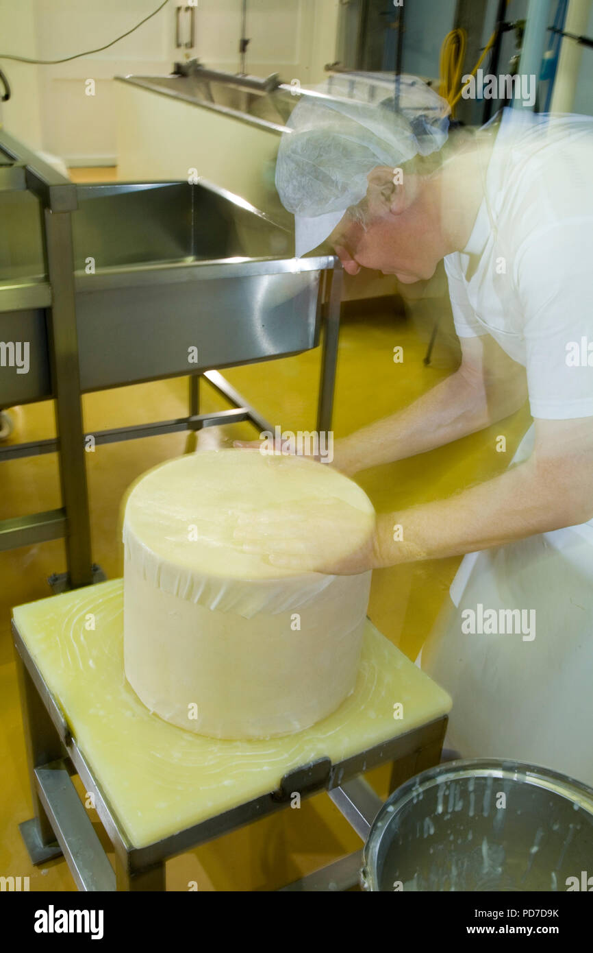 Cheddar Cheese storage Stock Photo - Alamy