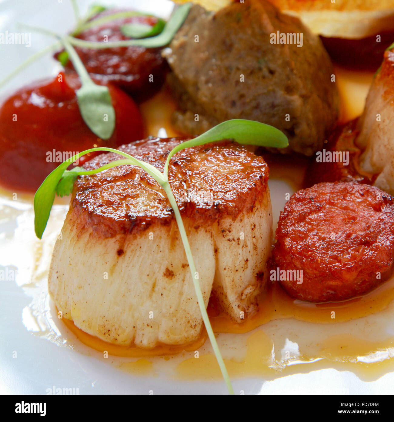 plated scallop appetizer Stock Photo - Alamy