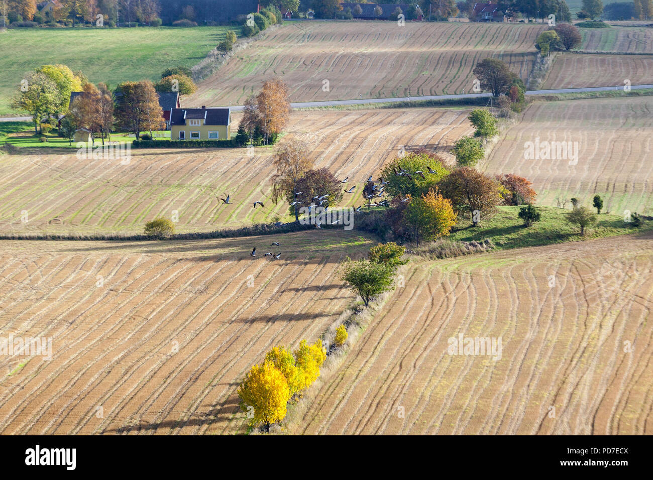 Aerial flying over wild land hi-res stock photography and images - Alamy