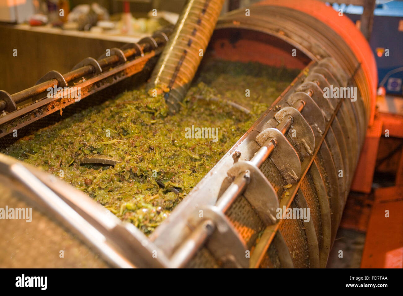 Wine making pressing grapes Stock Photo Alamy