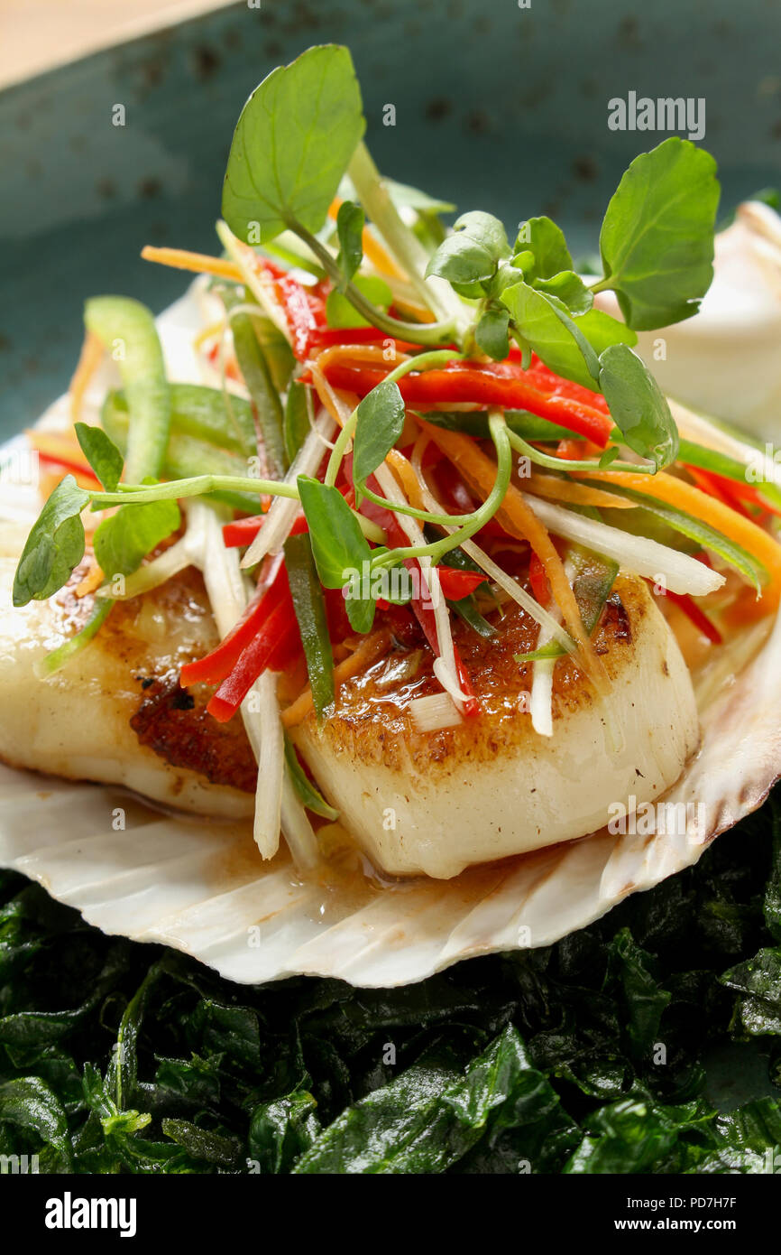 chinese pan fried scallops Stock Photo Alamy