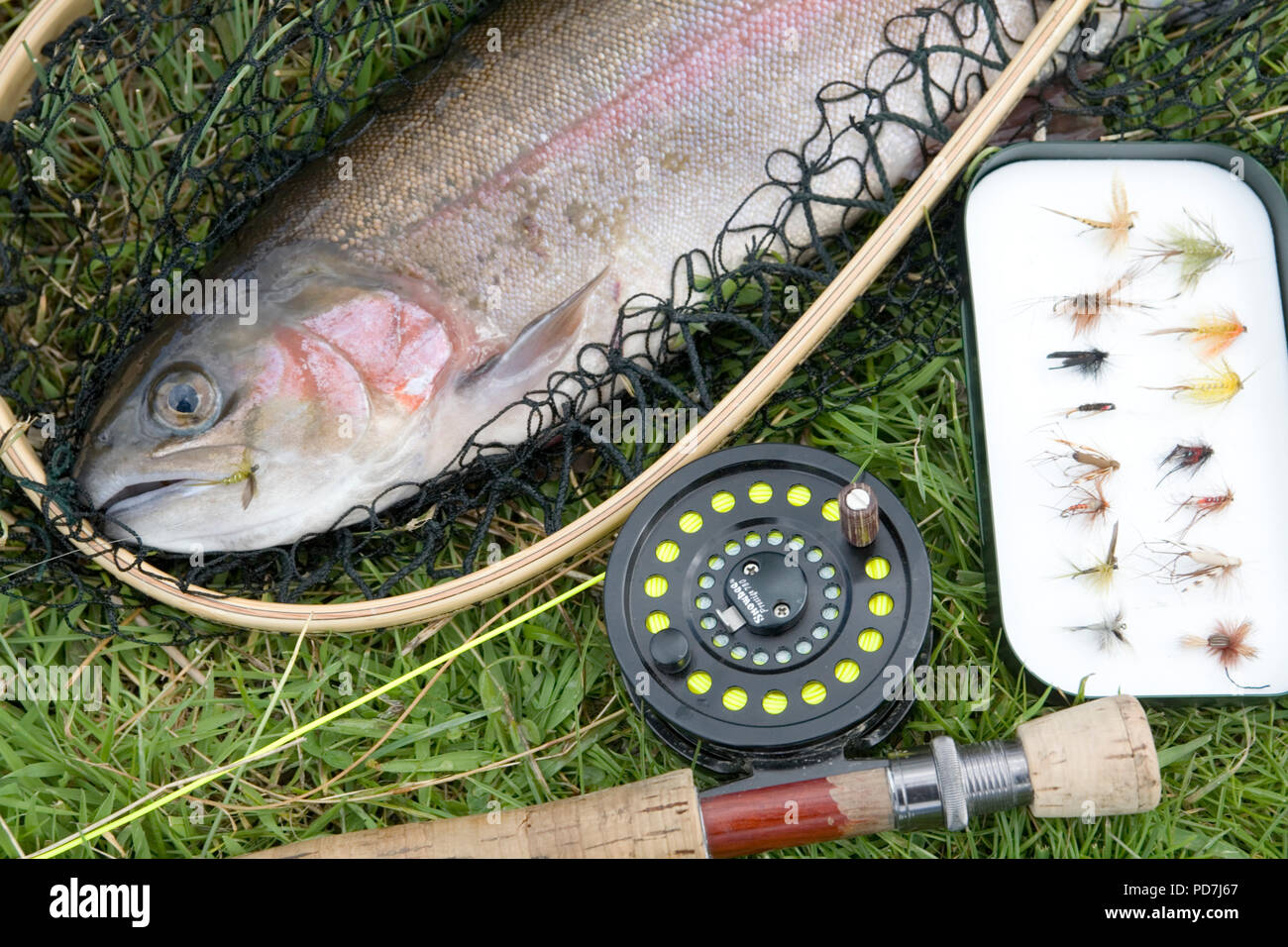 Fly fishing on the Chalke river Avon Landed Trout Stock Photo Alamy