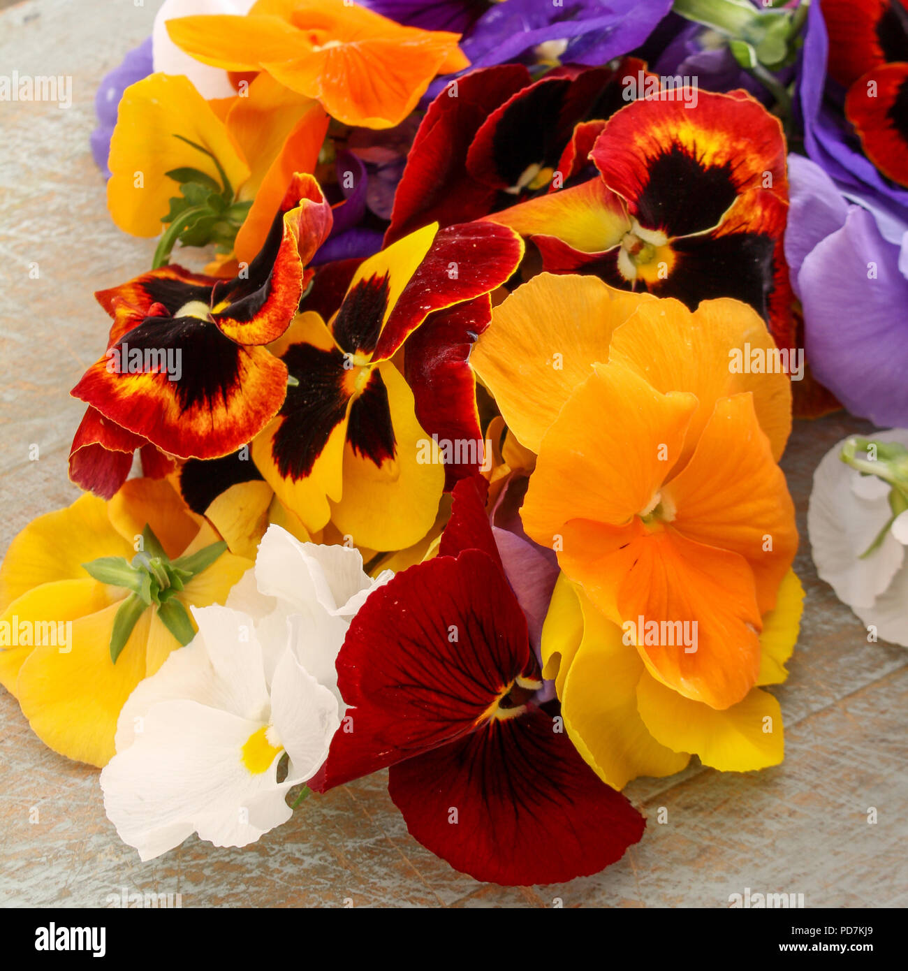edible plant flower decoration Stock Photo Alamy