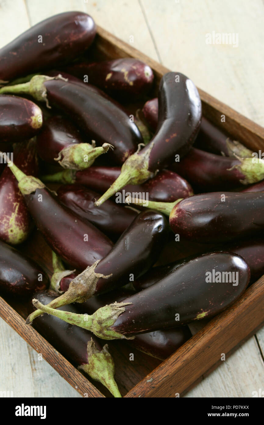 preparing fresh aubergine egg plant Stock Photo Alamy