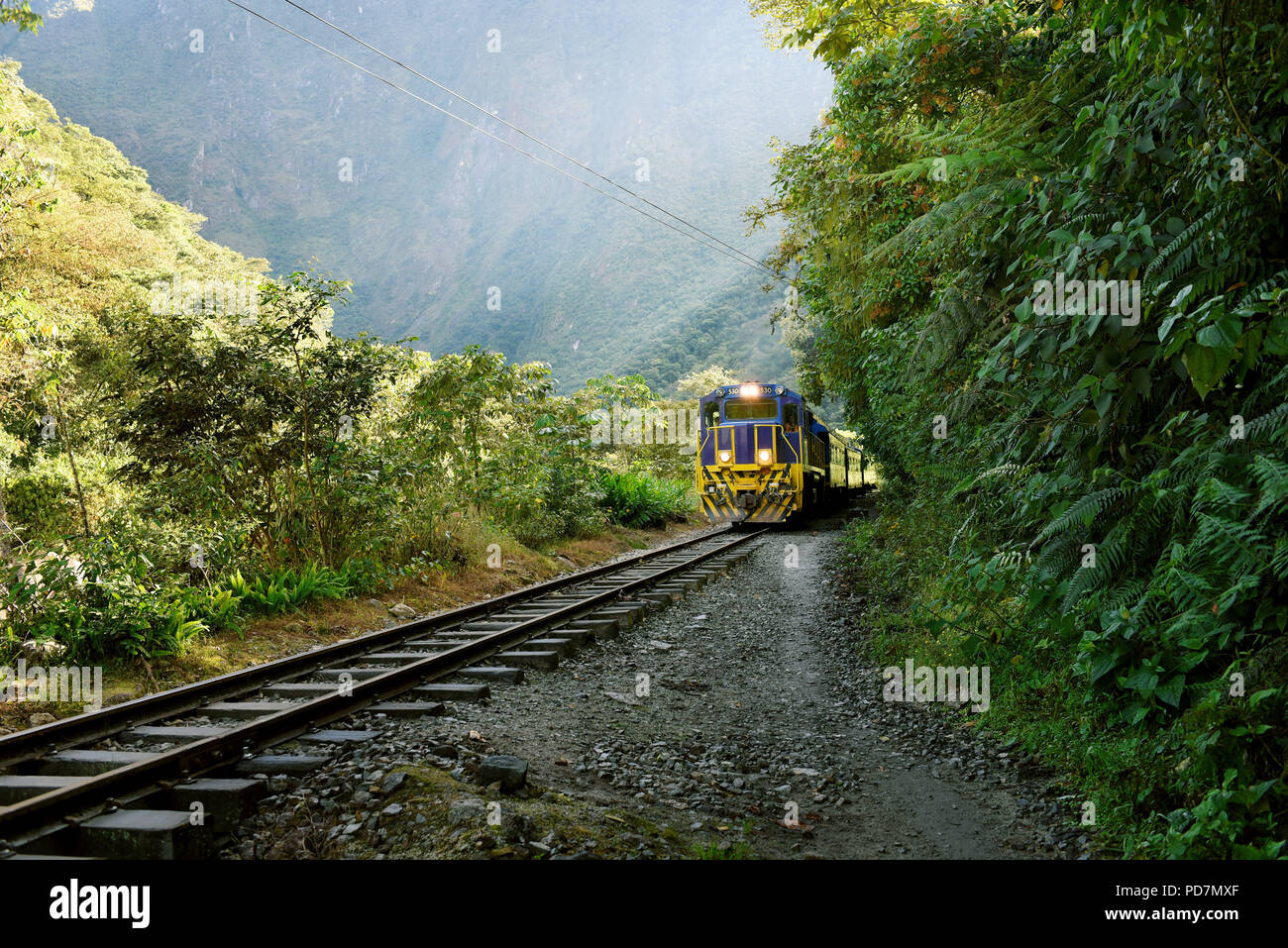 Approaching train: Peru Rail to Aguas Calientes (the nearest town to visit the Inca ruins of Machu Picchu). Urubamba River Valley, Peru. Jun 2018 Stock Photo