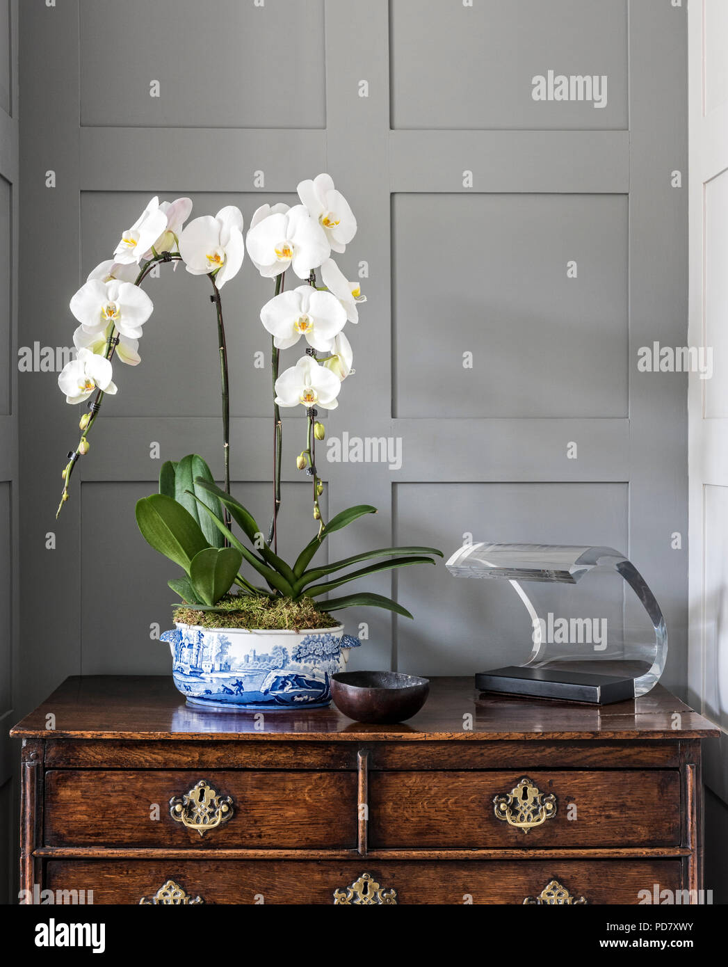 White orchids and 60's Italian Oluce columbo 281 lamp on an antique chest Stock Photo