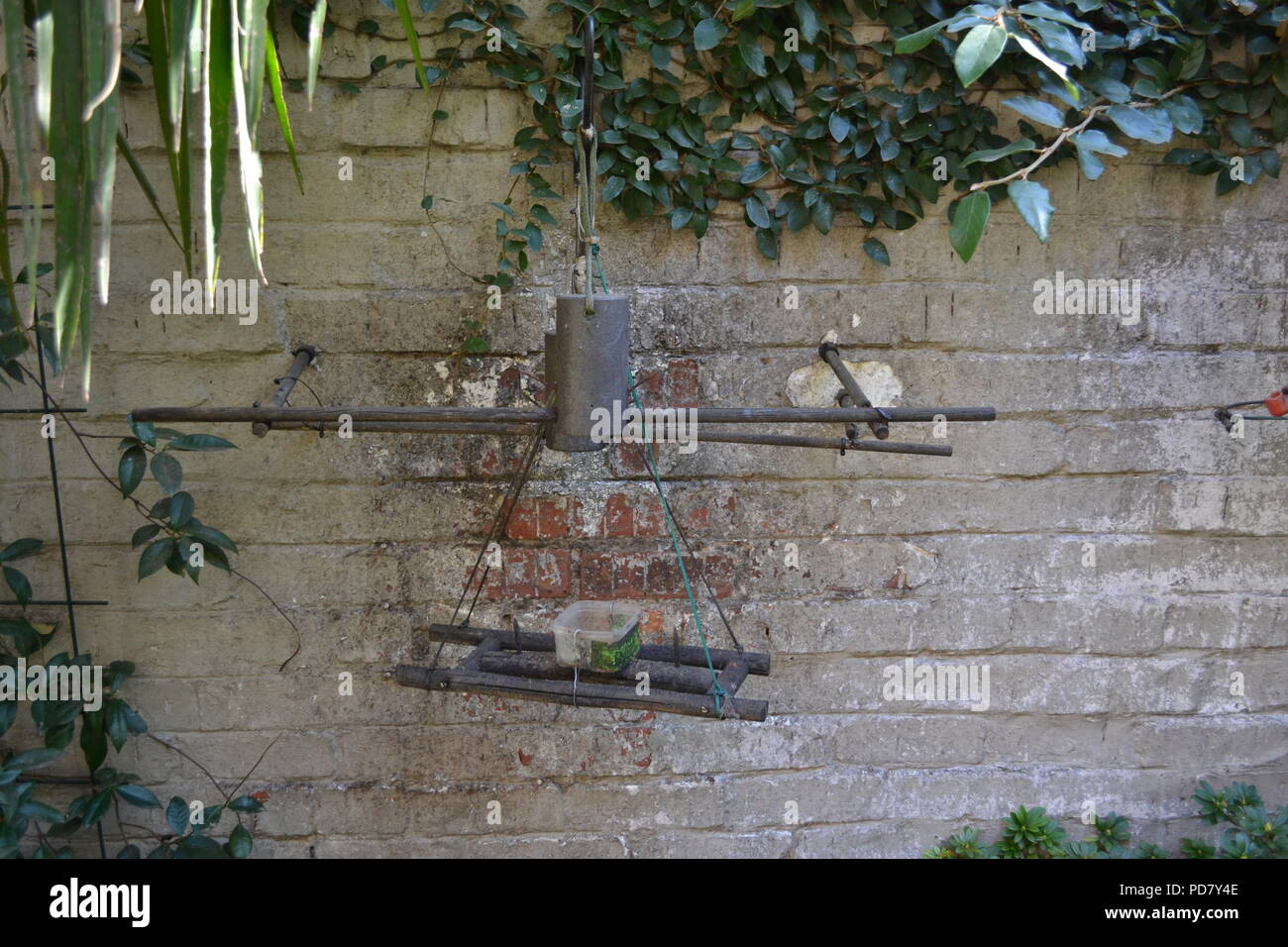 DIY Bird feeder, brick wall, Garden, South Africa Stock Photo Alamy
