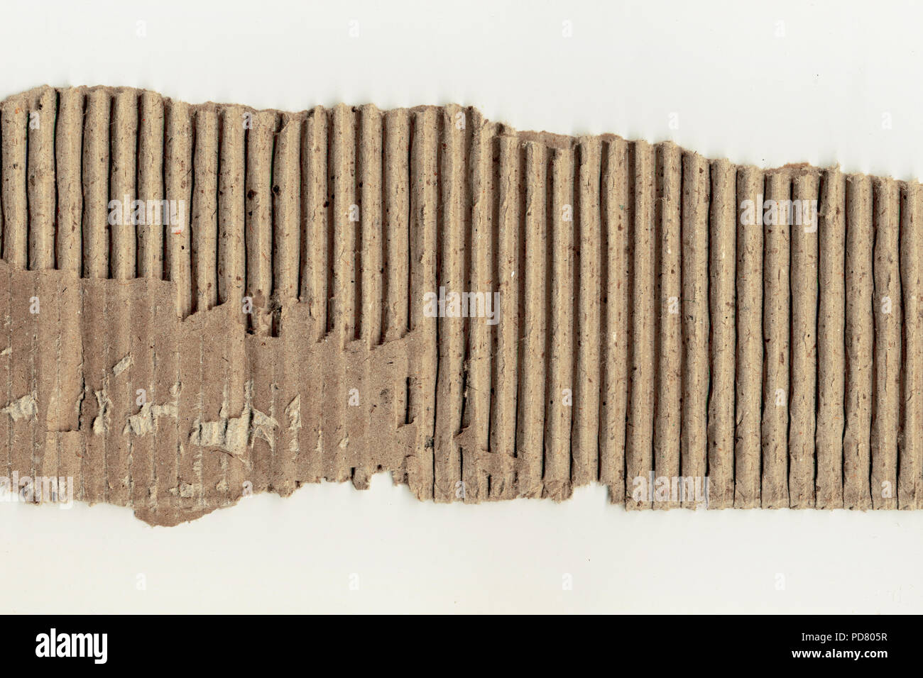 strip of torn cardboard on white background..place for text Stock Photo ...