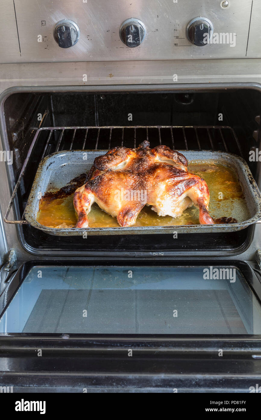 Chicken baked in the oven. Stock Photo
