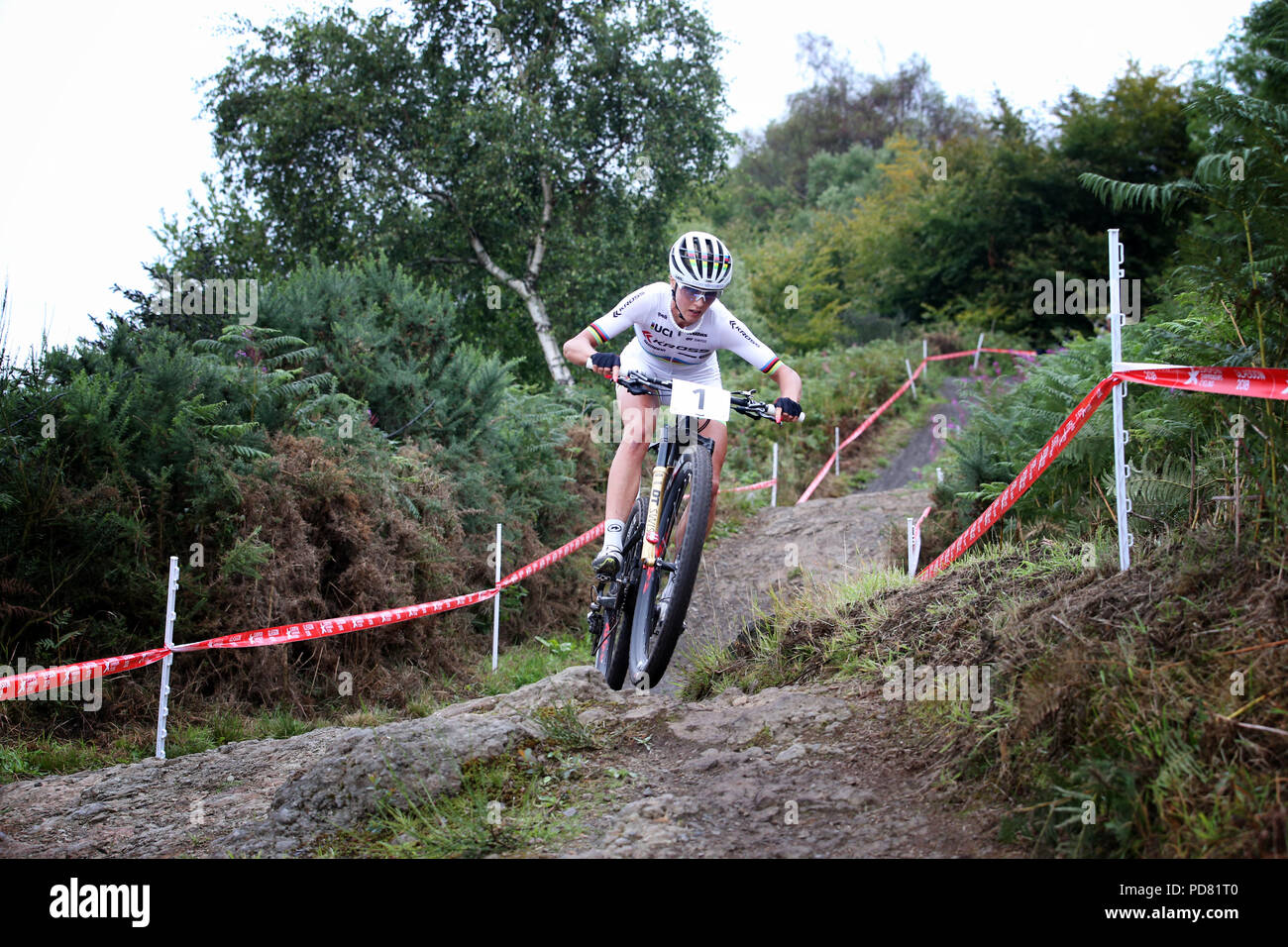 cathkin mountain bike trails