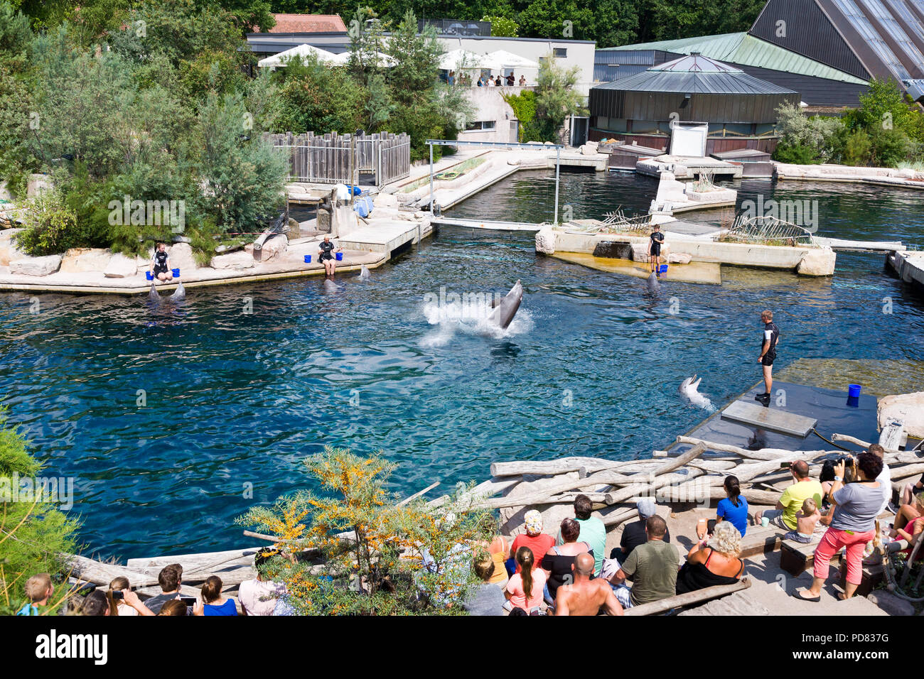 delfini show, Akvarium a delfinárium Zoo, Norimberk, Německo / dolphin ...
