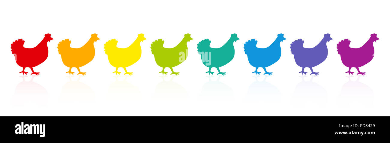 Colorful chicken parade. Rainbow spectrum hens. Colored fowls in single file. Comic illustration on white background. Stock Photo