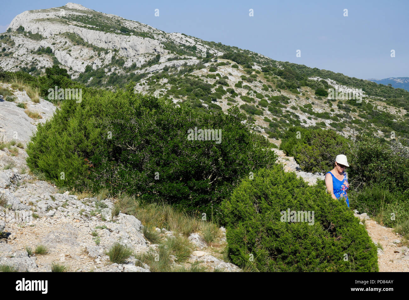 Mountain hiking, SainteBaume, Var, France Stock Photo Alamy