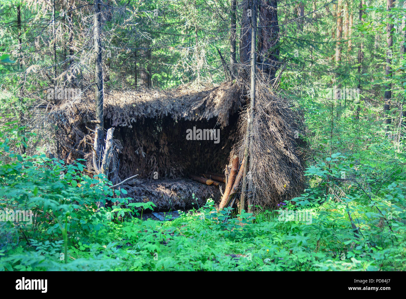 Forest shelter made from natural materials, hut in the forest Stock Photo Alamy