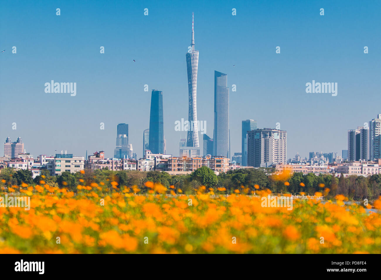 Haizu Haizhu national wetland park hi-res stock photography and images - Alamy