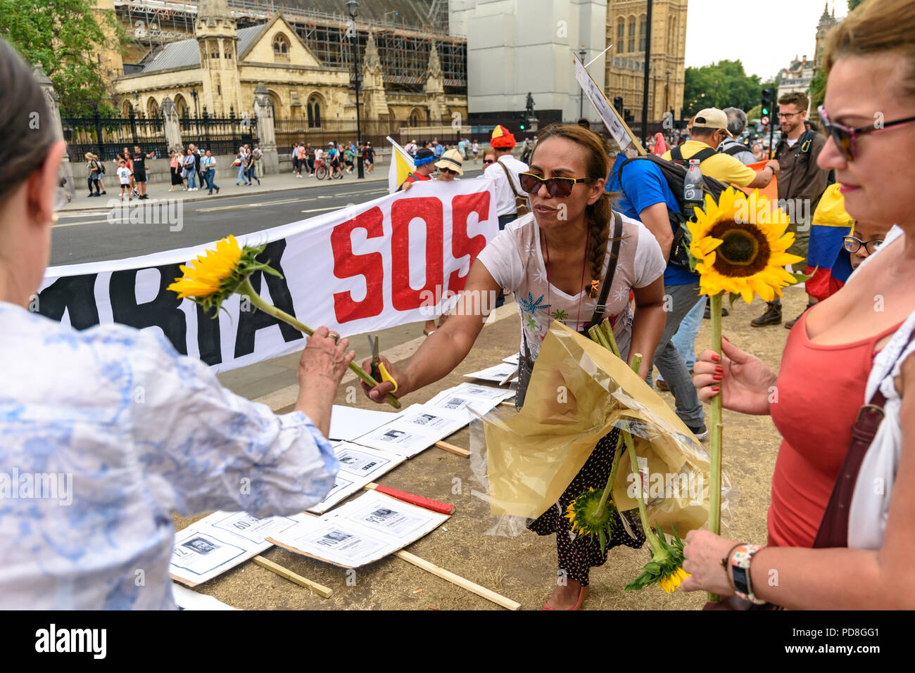 London, UK. 7th August 2018. A Colombian woman hands out sunflowers to others at a  protest in Parliament Square in support of the peace process in Colombia and demanding an end to the daily threats and murders throughout the country. ook place today at the UN in New York, the International Court of Justice in The Hague, and in Washing Credit: Peter Marshall/Alamy Live News Stock Photo