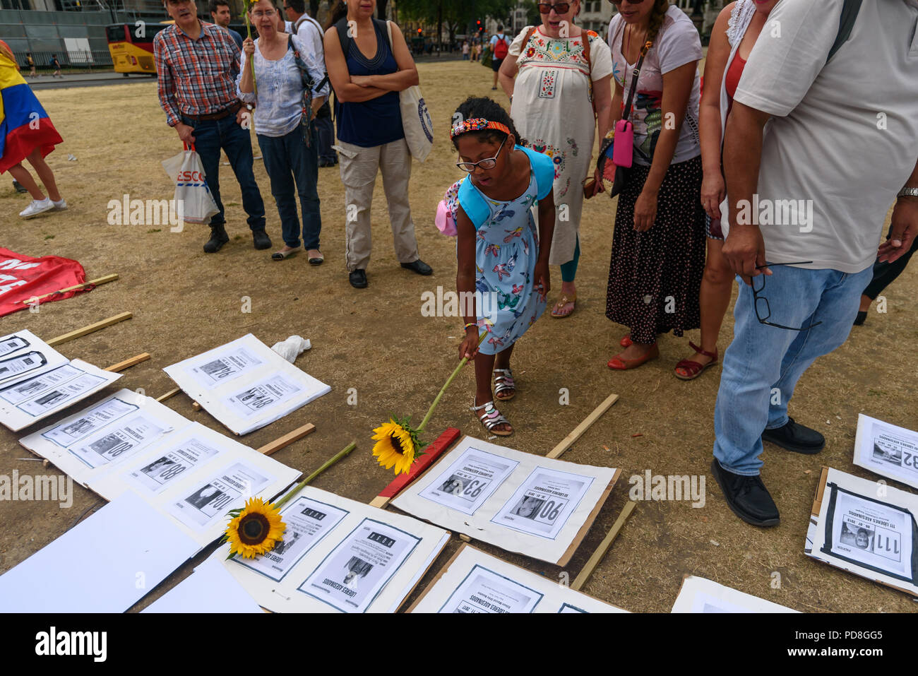 London, UK. 7th August 2018. After the names of the over one hundred murder victims had been read Colombians placed sunflowers on their pictures. The protest in Parliament Square in support of the peace process in Colombia demanded an end to the daily threats and murders throughout the country. The International Mobilization for Life and Peace called on the new President of Colombia to put into action an urgent plan to protect social leaders and rapidly implement the peace agreement. Similar actions took place today at the UN in New York, the International Court of Justice in The Hague, and in Stock Photo