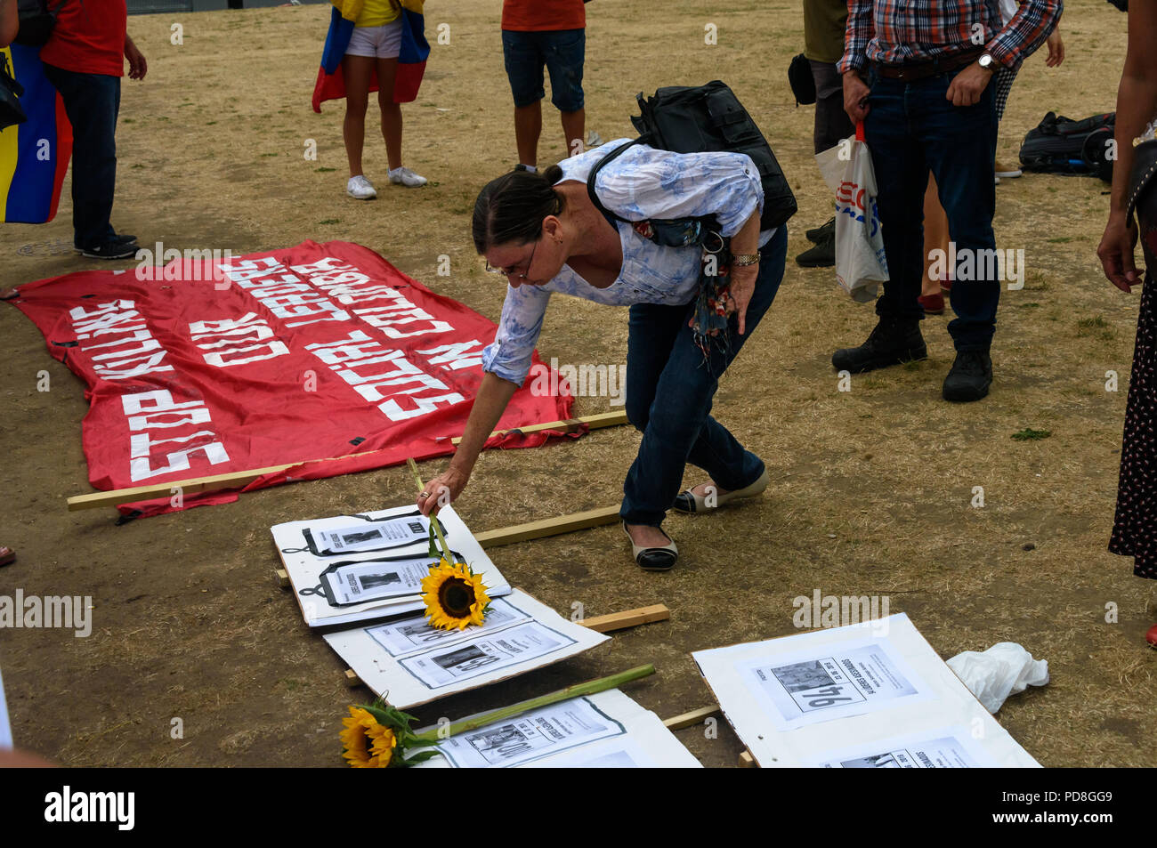 London, UK. 7th August 2018. After the names of the over one hundred murder victims had been read Colombians placed sunflowers on their pictures. The protest in Parliament Square in support of the peace process in Colombia demanded an end to the daily threats and murders throughout the country. The International Mobilization for Life and Peace called on the new President of Colombia to put into action an urgent plan to protect social leaders and rapidly implement the peace agreement. Similar actions took place today at the UN in New York, the International Court of Justice in The Hague, and in Stock Photo