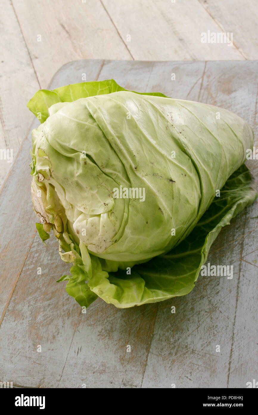 choi sum chinese cabbage Stock Photo