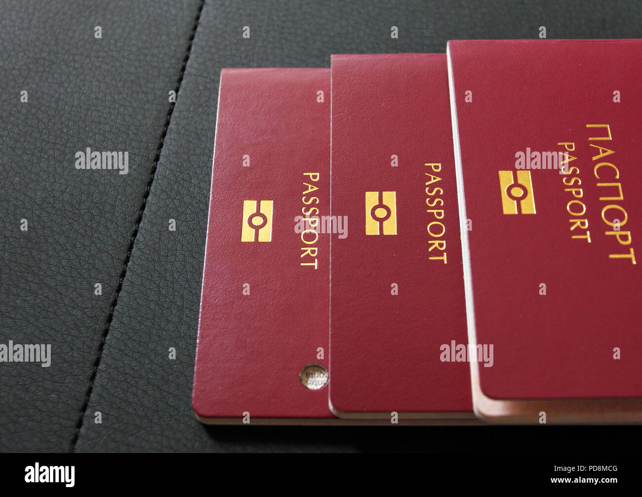 International passport. Customs control. Red Passport for travel in