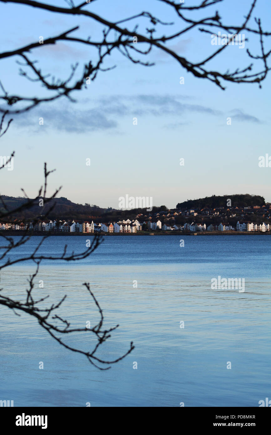 Evening view along the coast between tree branches, river Forth Scotland Stock Photo