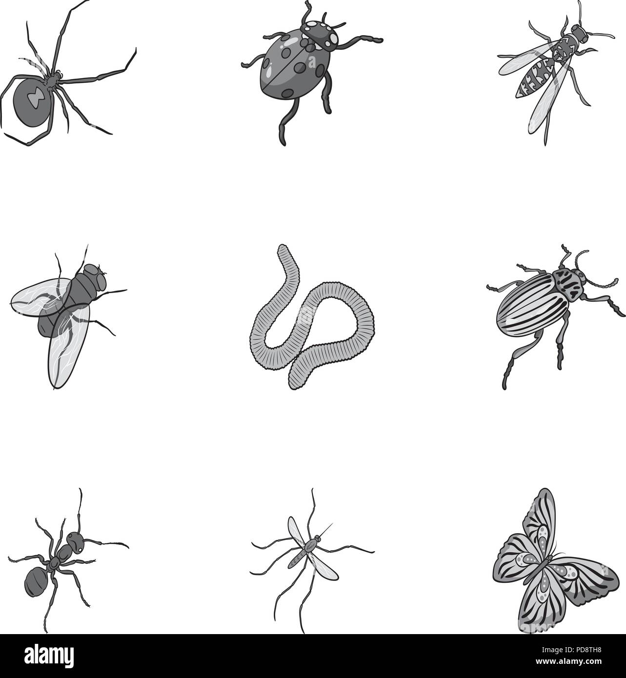 Beetle, wasp, bee, ant, fly, spider, mosquito and other insect species. Various insects set collection icons in monochrome style vector symbol stock i Stock Vector