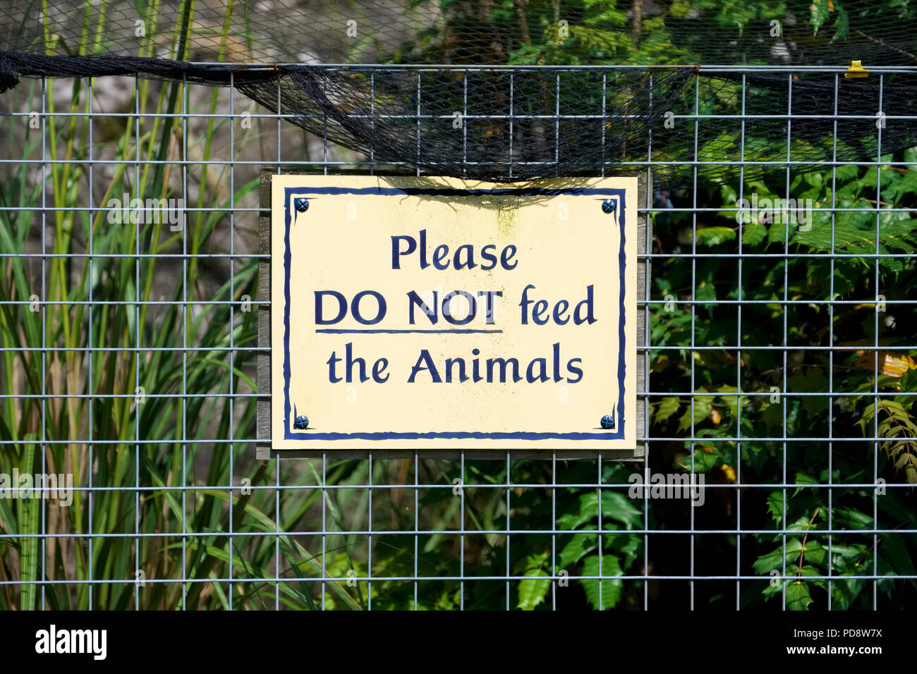 Zoo Animals Cage High Resolution Stock Photography and Images Alamy
