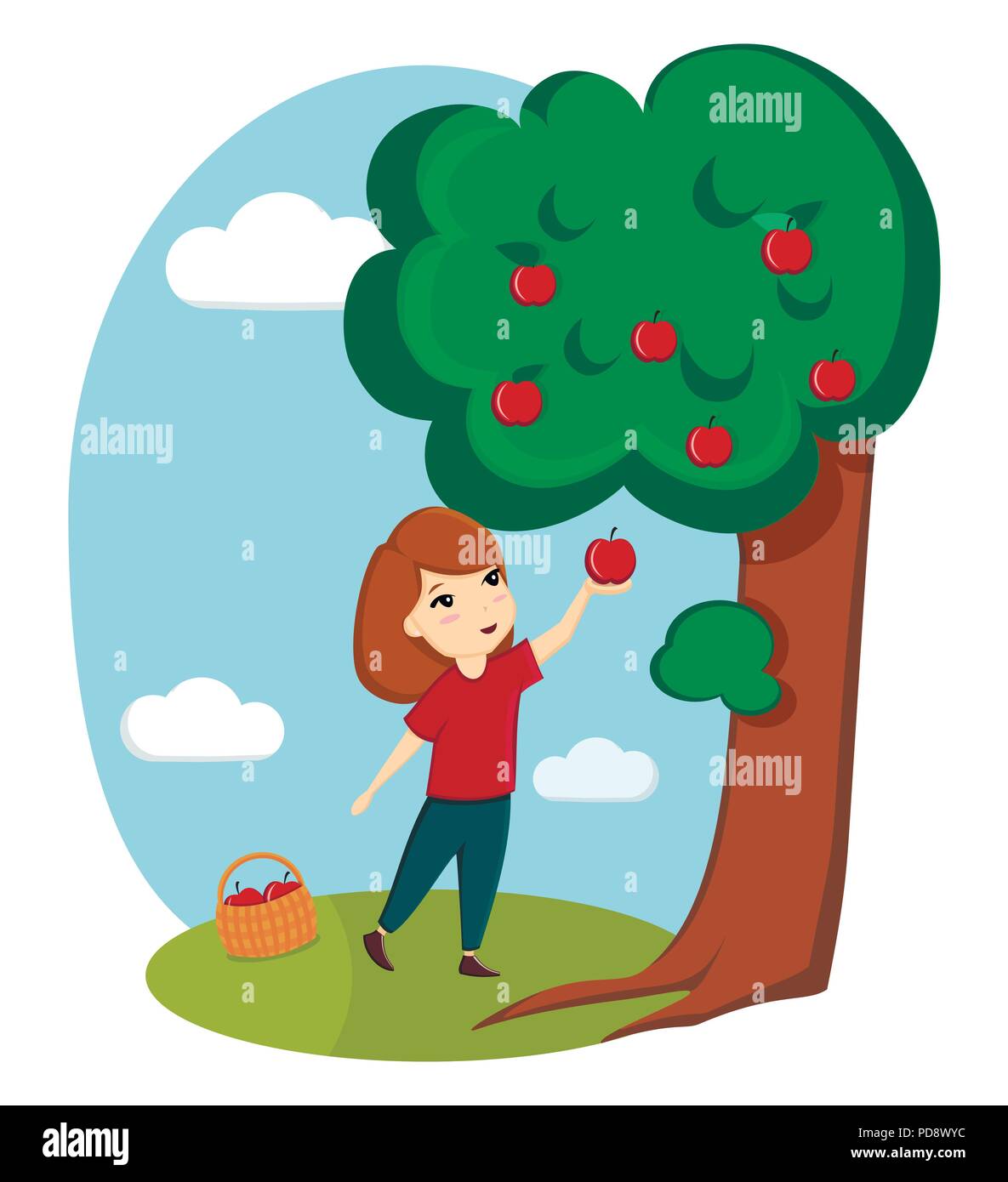 A girl collects apples from a tree. Nature, village, farm. Ecological useful products Stock Vector