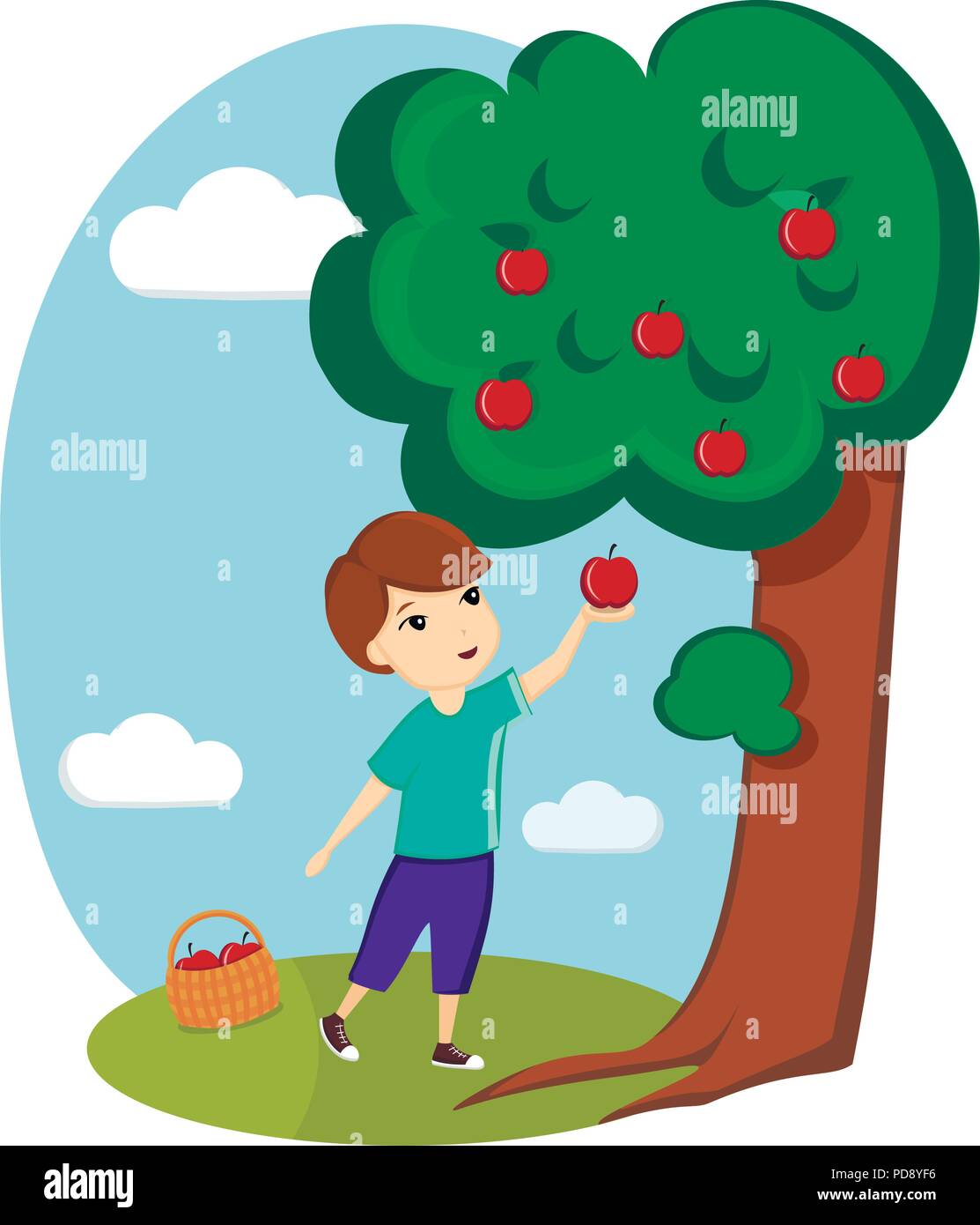 Apples in fruits basket Stock Vector Images Alamy