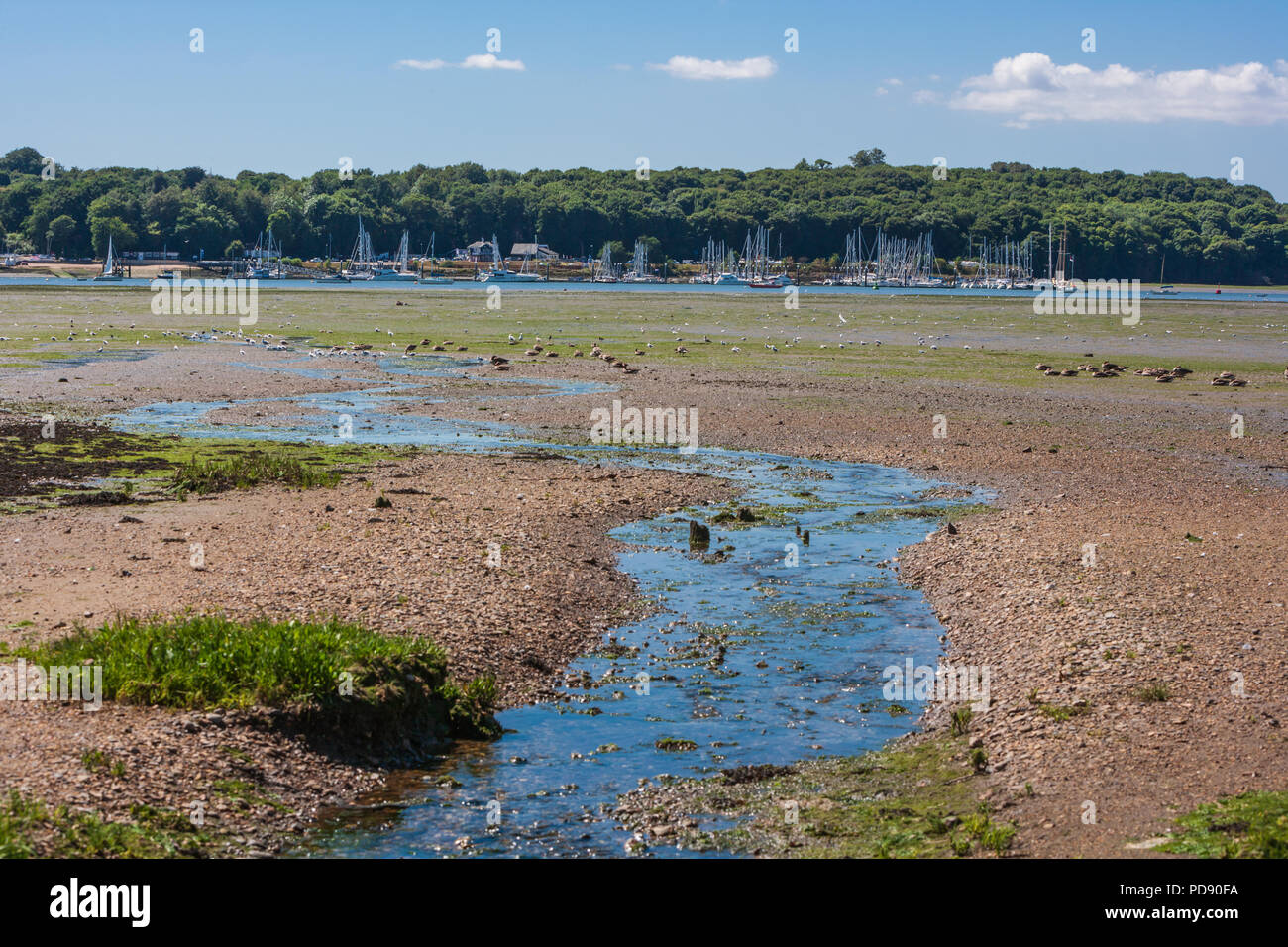 orwell country park deben estuary suolk ipswich uk Stock Photo Alamy