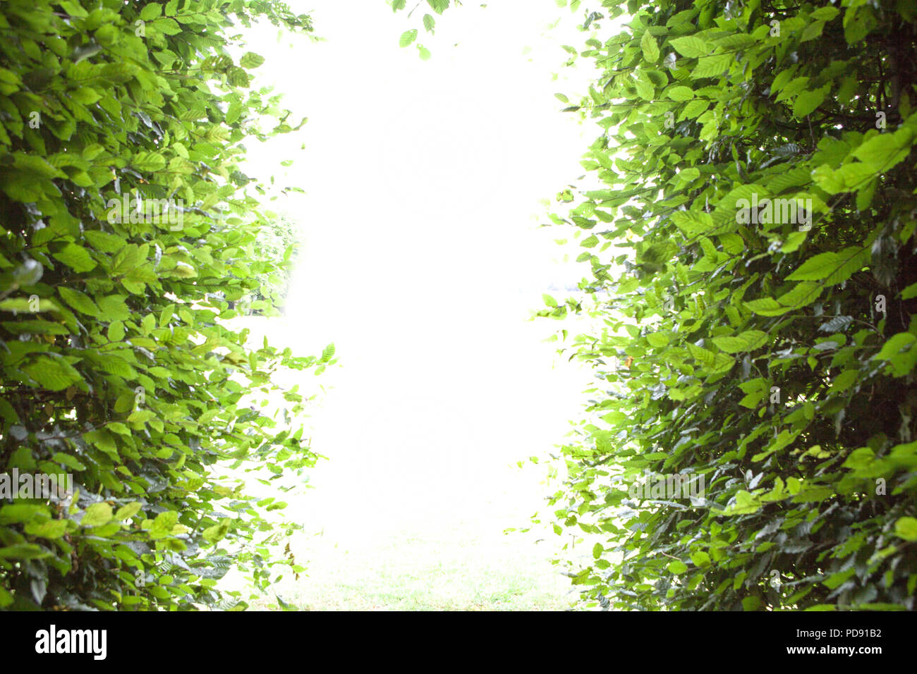 Arcade at Oranienburg  Castle, Nordkirchen Moated Palace, Germany Stock Photo