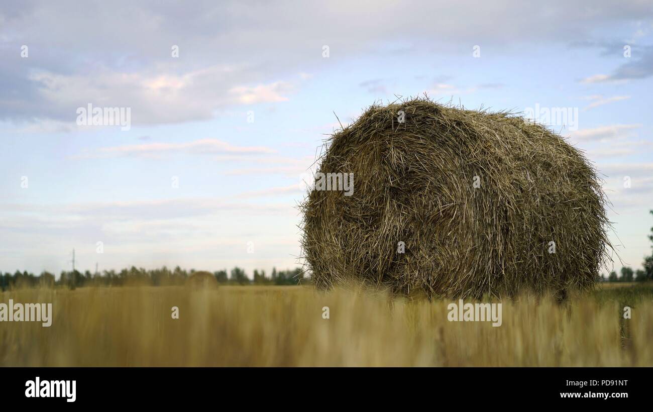 Aerial - A haystack in the field. Harvesting, agriculture, straw Stock ...