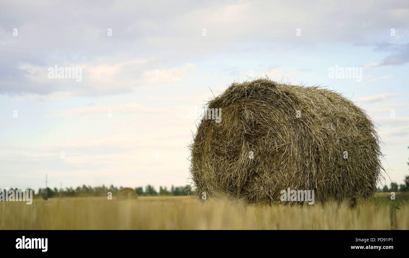 Aerial - A haystack in the field. Harvesting, agriculture, straw. Stock Photo