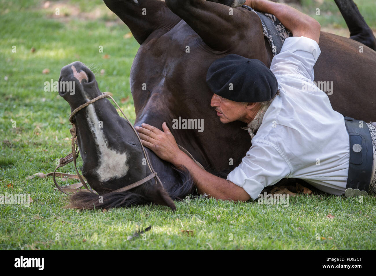 Argentina, Pampas, San Antonio de Areco. Traditional estancia, El Ombu