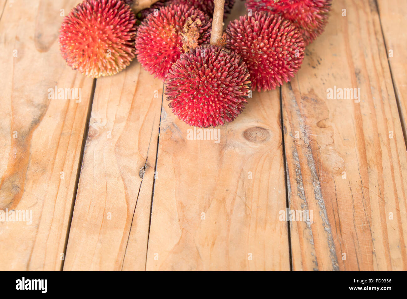 The pulasan, Nephelium mutabile Blume (family Sapindaceae), is a tropical fruit closely allied to the rambutan and sometimes confused with it on woode Stock Photo