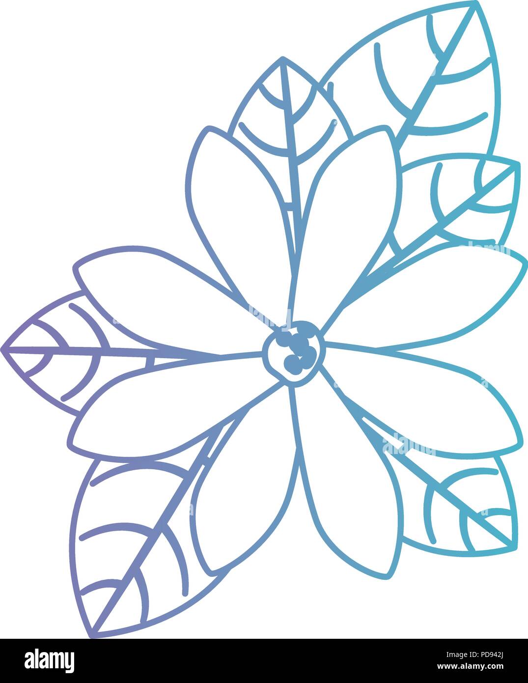 beautiful flower and leafs garden Stock Vector Image & Art - Alamy