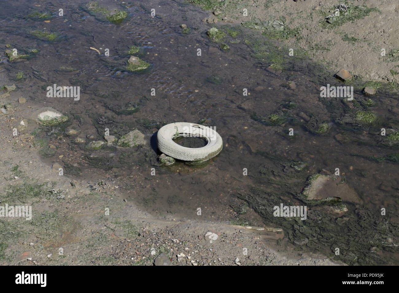 Abandoned tyre in water, fly tipped Stock Photo - Alamy