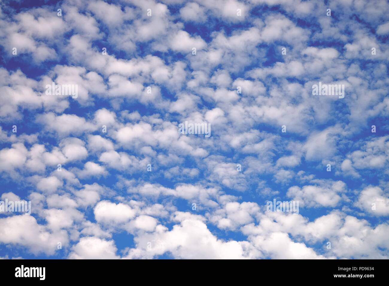 Detail of a mackerel sky or altocumulus clouds Stock Photo