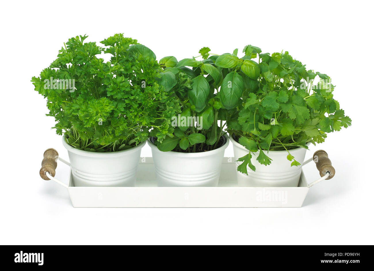 Trio of herb pots Stock Photo