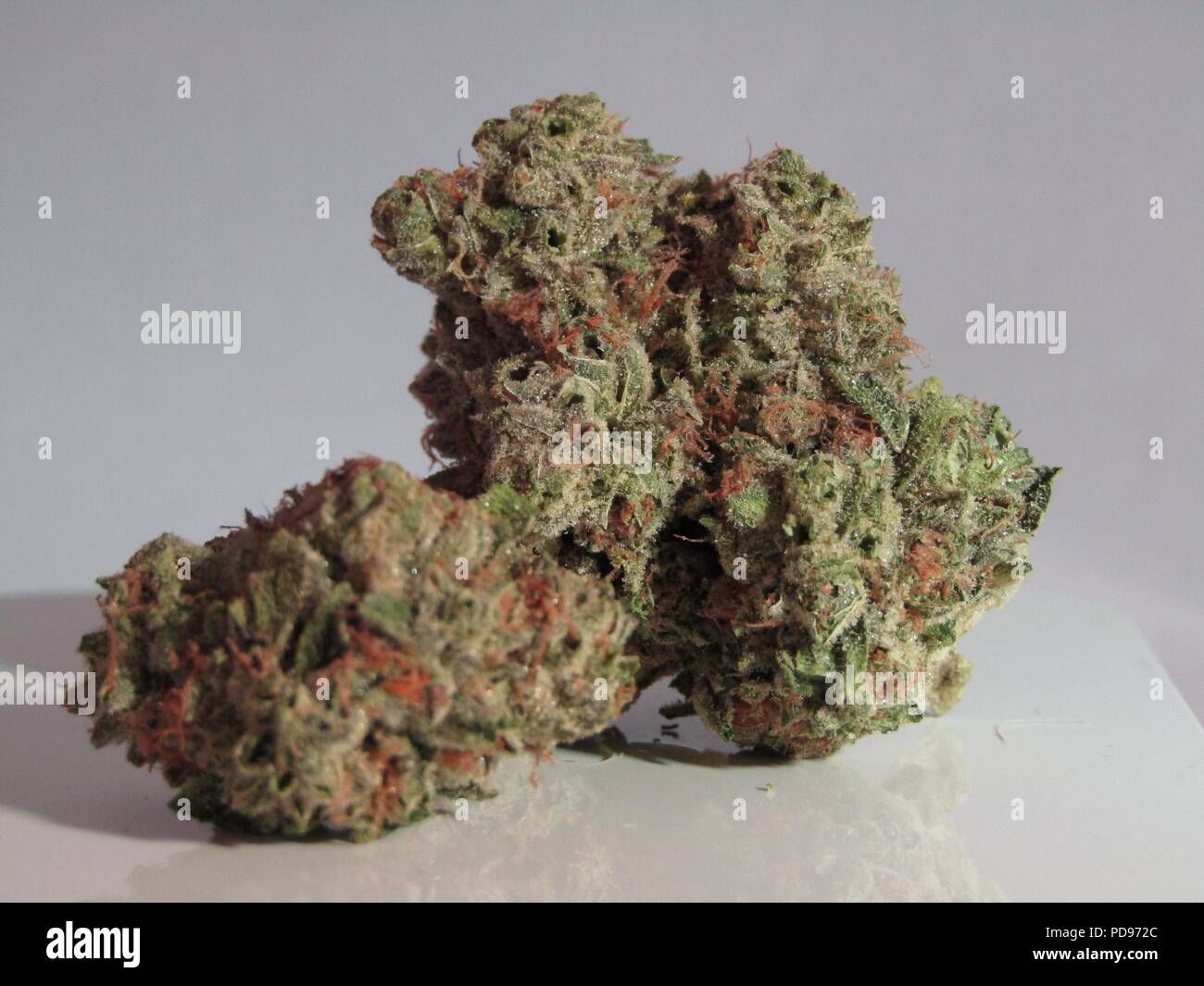 Cannabis, also known as marijuana among other names, is a psychoactive