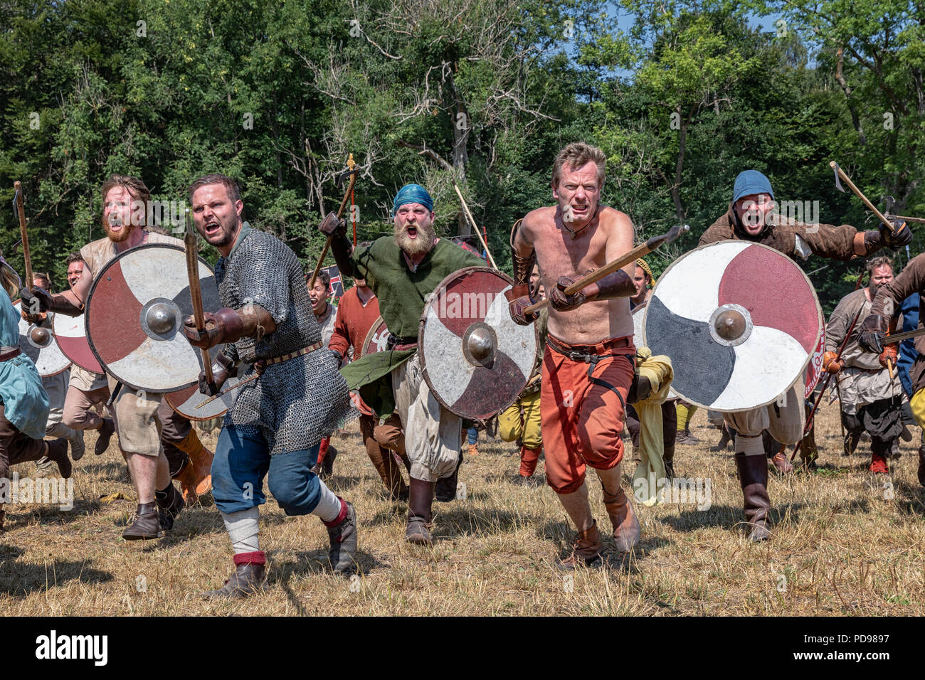 Battle reenactment at the worlds biggest Viking moot, Mosegaard Viking