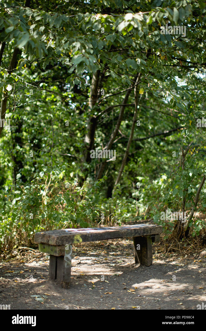 A Bench In A Tranquil Place On The Parkland Walk London S Longest