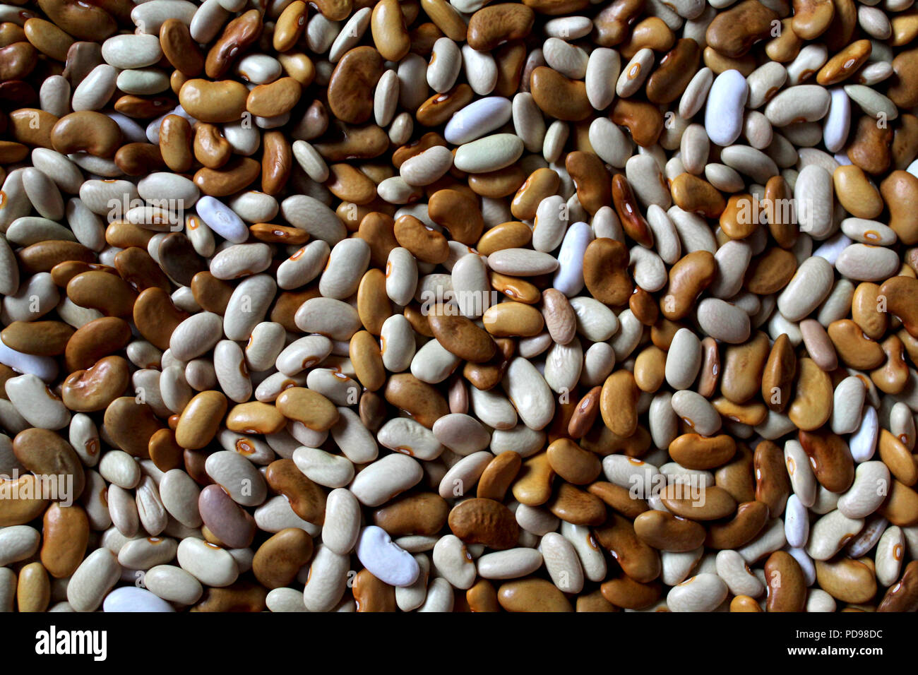 Kidney beans texture hires stock photography and images Alamy